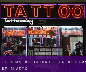 Tiendas de tatuajes en Dehesas de Guadix