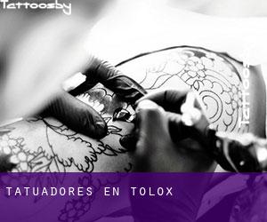 Tatuadores en Tolox