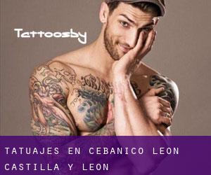 tatuajes en Cebanico (León, Castilla y León)