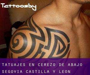 tatuajes en Cerezo de Abajo (Segovia, Castilla y León)